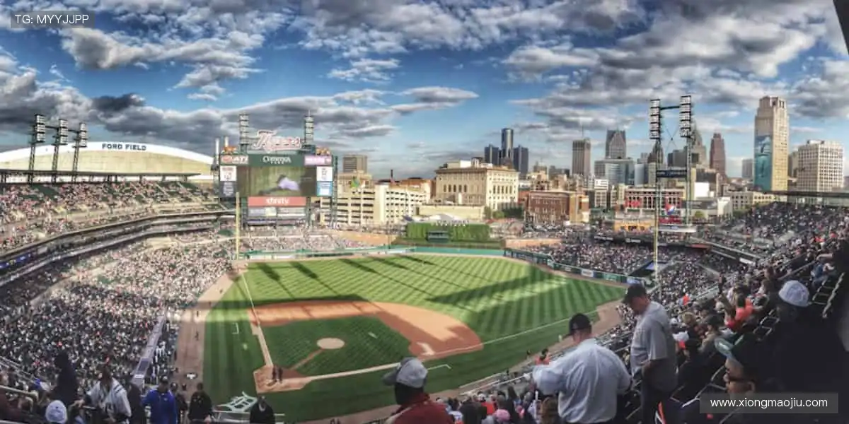 实时战况，心跳加速📱